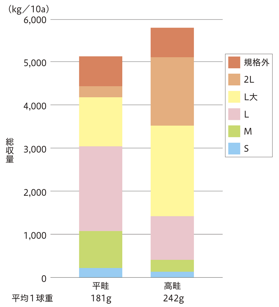 ［図２］「札幌黄」収量比較