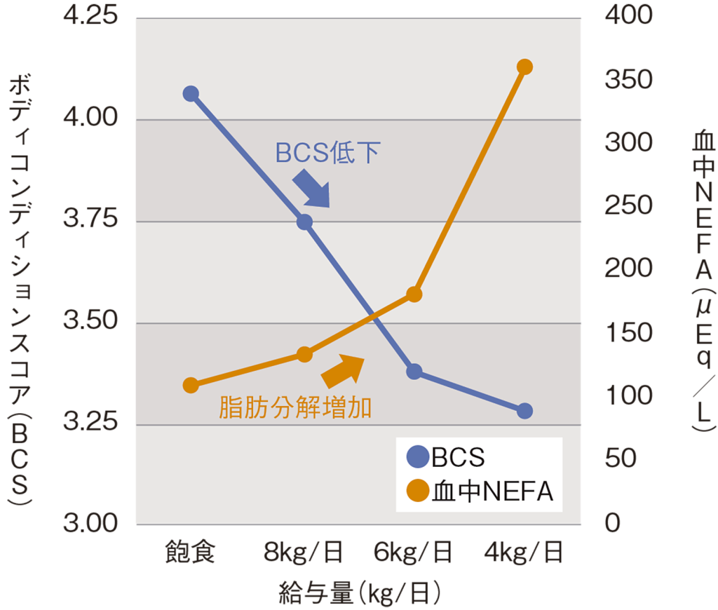BCSと血中NEFA濃度との関係