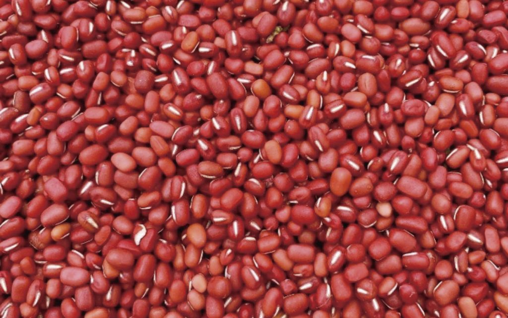 小豆収穫物（弟子屈町2020年10月撮影）