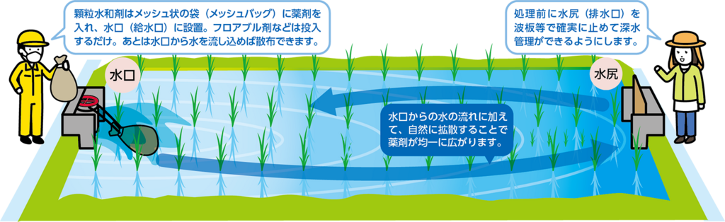 水稲除草剤の水口施用