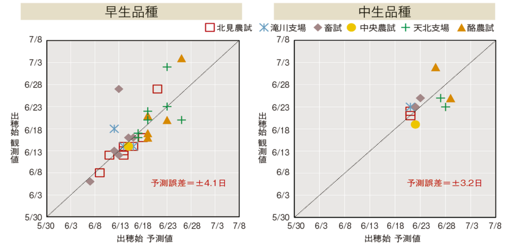 早生品種（左）と中生品種（右）の出穂予測モデルによる予測値と観測値の関係