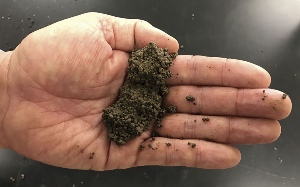 土壌水分の量は、土を握ってベタつくことなく団子状になるくらいが理想です。
