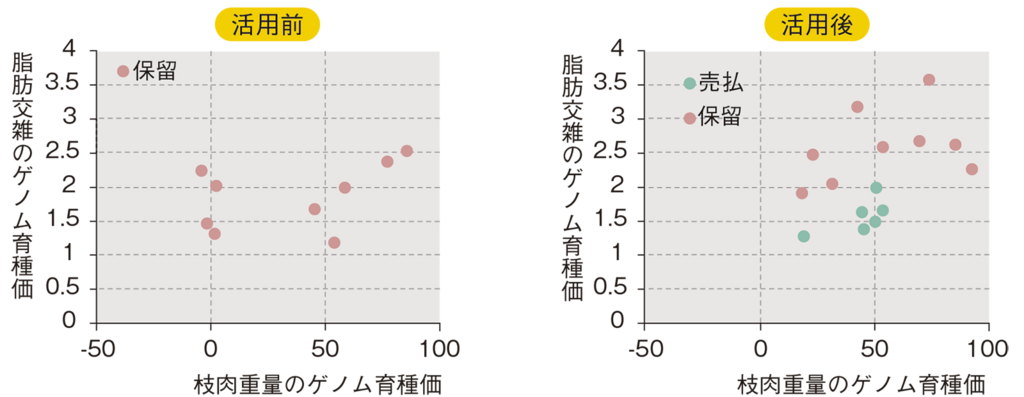 雌牛の早期選抜に北海道ゲノム育種価を活用した道内モデル生産者の事例