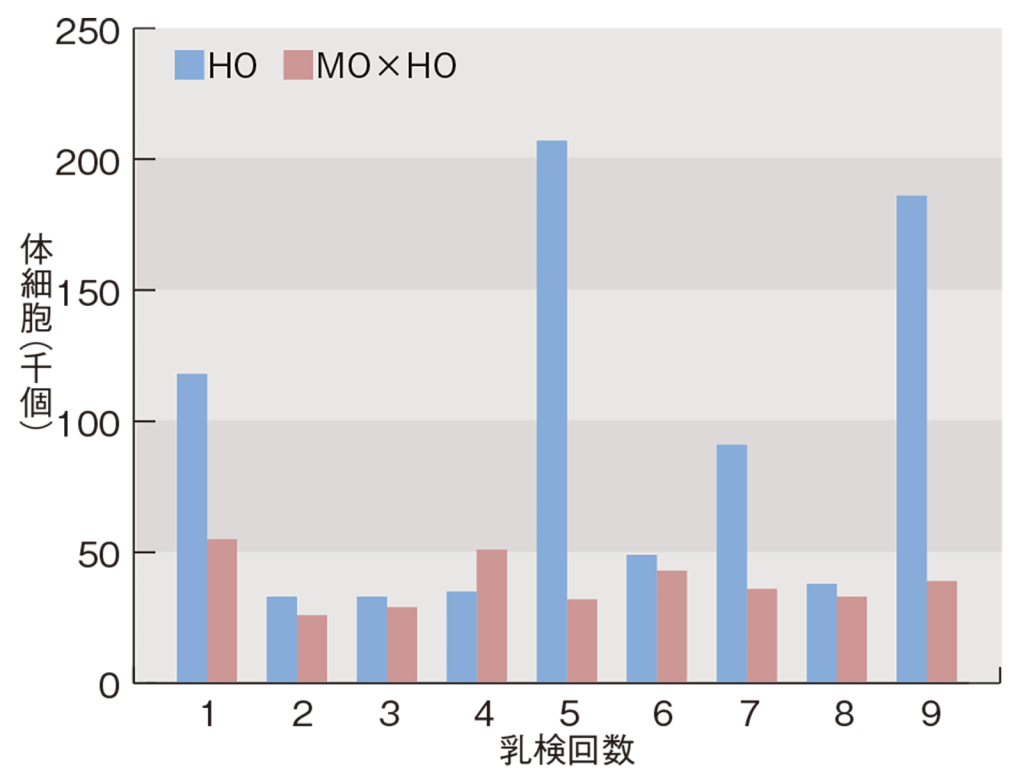 平均体細胞数（HO種初産牛およびMO×HO種初産牛における毎月の牛群検定時）
