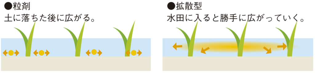 水稲除草剤