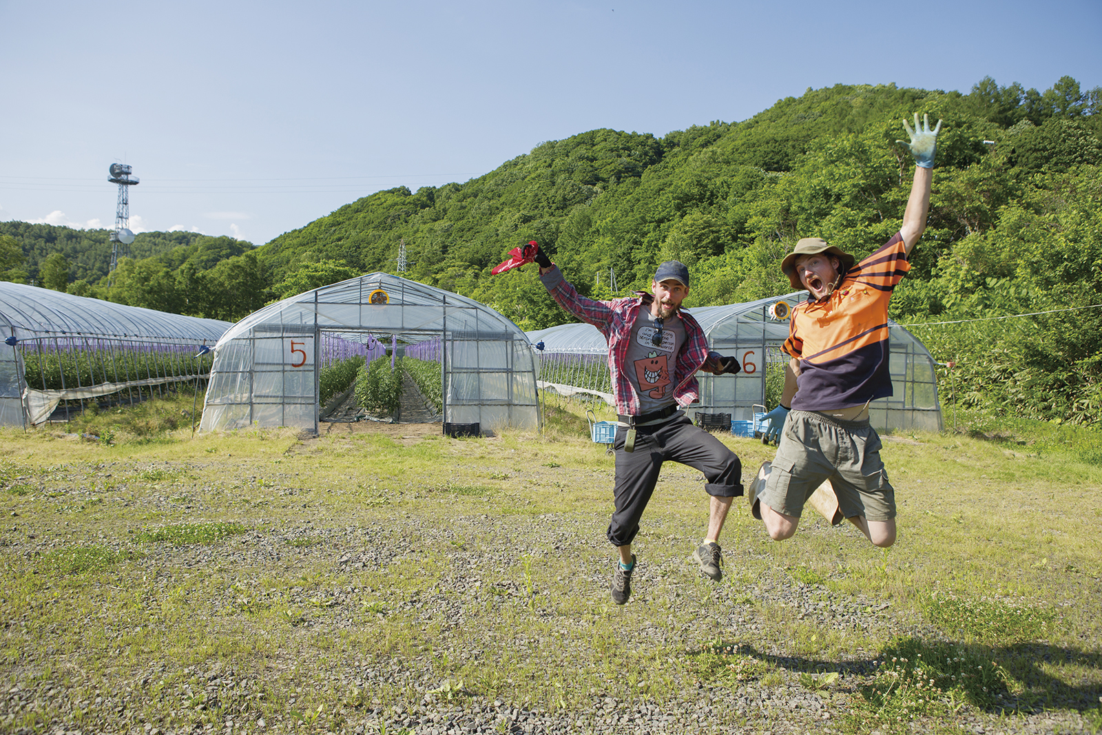 隠れた労働力を掘り起こせ！ - アグリポートWeb