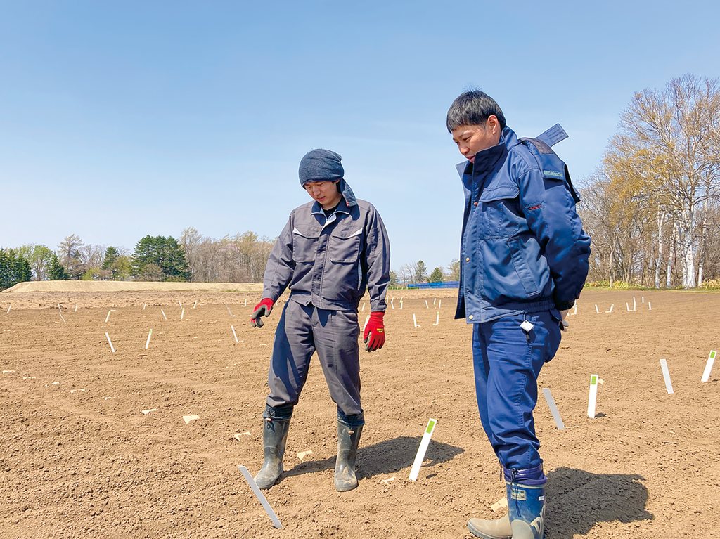 写真7.試験用の小麦播種状況を確認する 畑作物水稲開発課 井田職員（左）と竹之内課長補佐（右）
