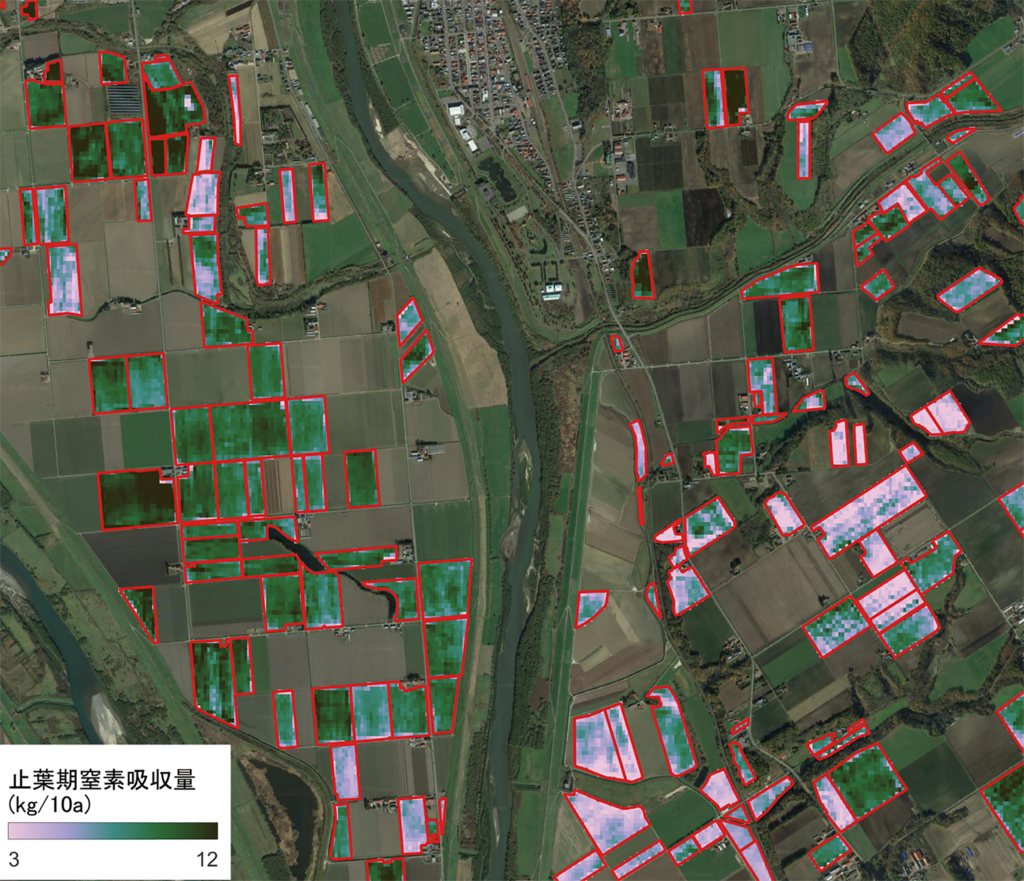 図1.衛星画像から作成した小麦圃場における止葉期窒素吸収量の推定マップ