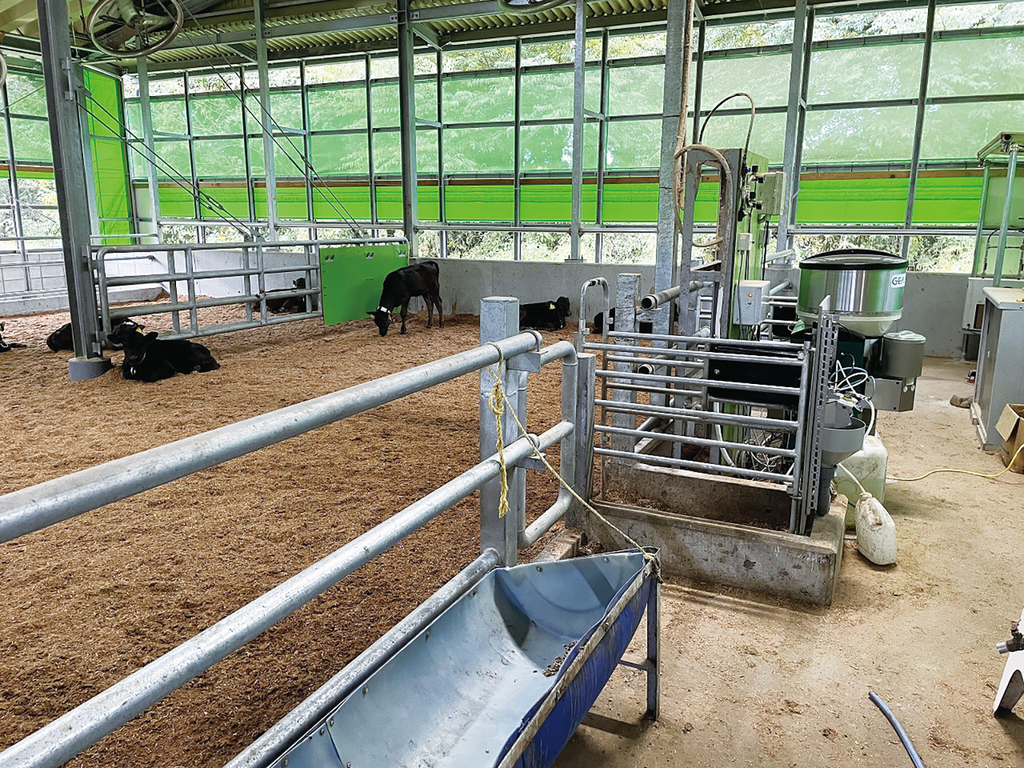 写真1.最新の施設でも餌が無ければ牛は利潤を返してはくれません。
