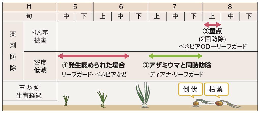 図4.玉ねぎ圃場におけるネギハモグリバエ薬剤防除の考え方