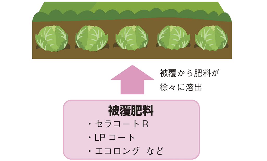 被覆肥料の特徴