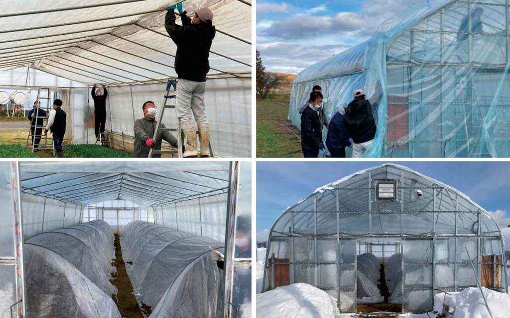 写真1.冬季無加温栽培のために保温装備を強化したパイプハウス