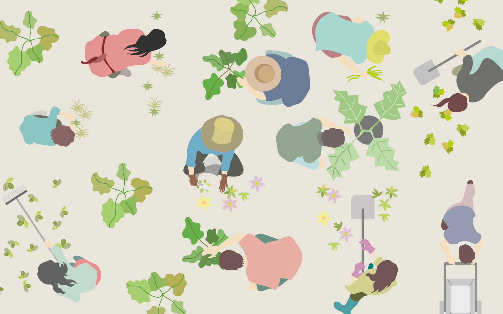 イラストみんなの農業教室 4 水稲の増収技術 送料無料 cover.png