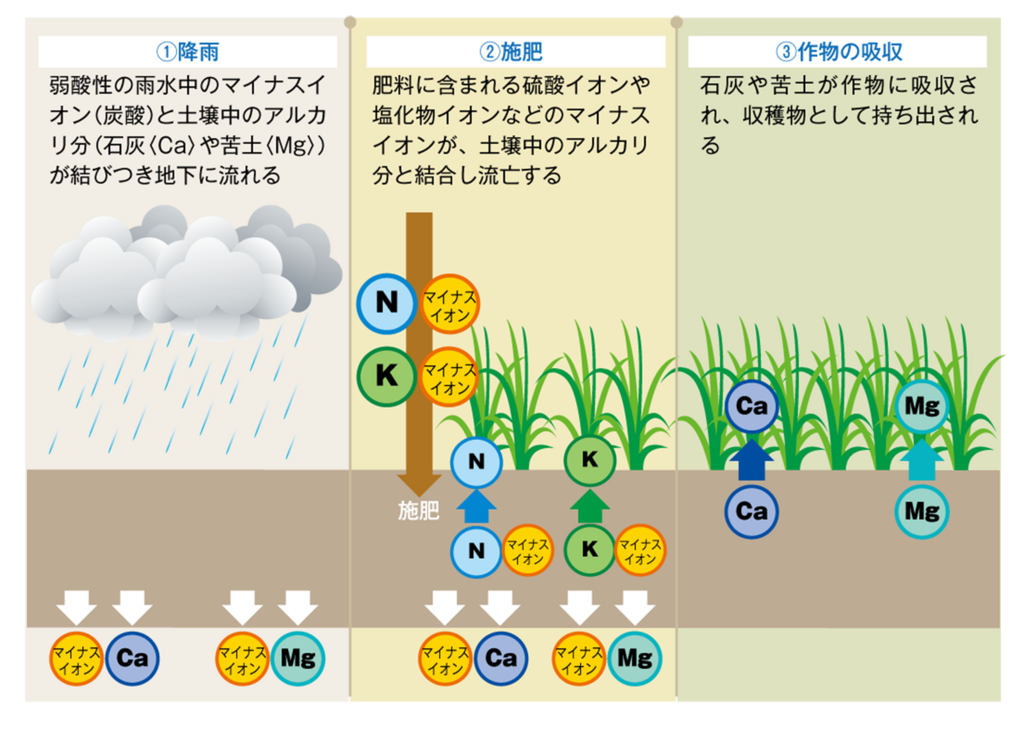 図1.土壌酸性化の仕組み（「草地の土づくり」より改変）