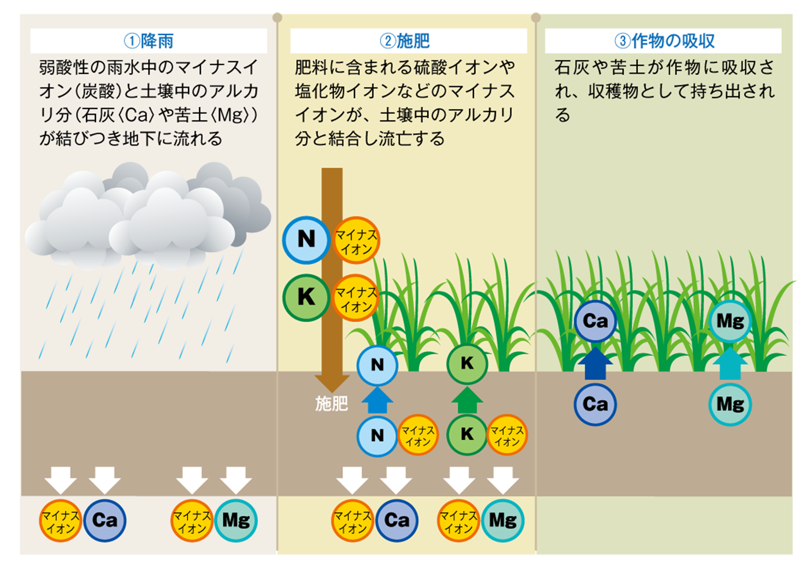 高pH土壌における鉄とマンガンの化学的挙動 - Genspark