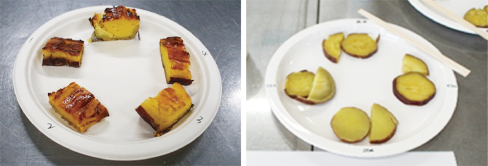 写真2.スイートポテト官能評価(左)と焼き芋官能評価(右)(提供:ホクレン農業総合研究所)