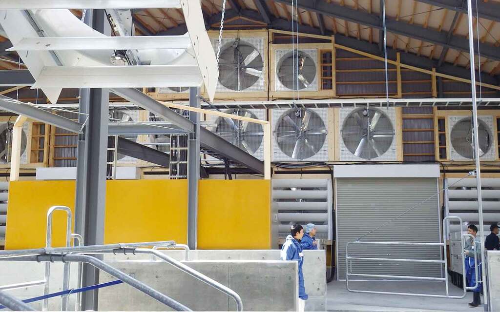 写真2.大型牛舎の機械換気システム（酪農試験場資料より抜粋）
