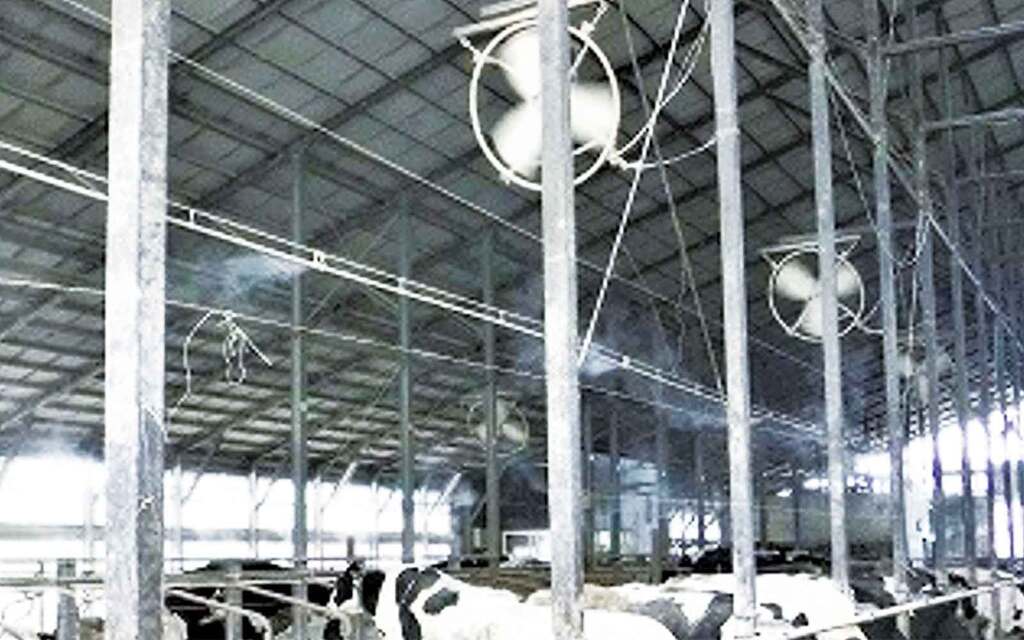 写真1.ミスト機を利用した細霧冷房と送風機を導入した牛舎。