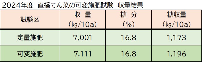 2024年度　直播てん菜可変施肥試験　収量結果