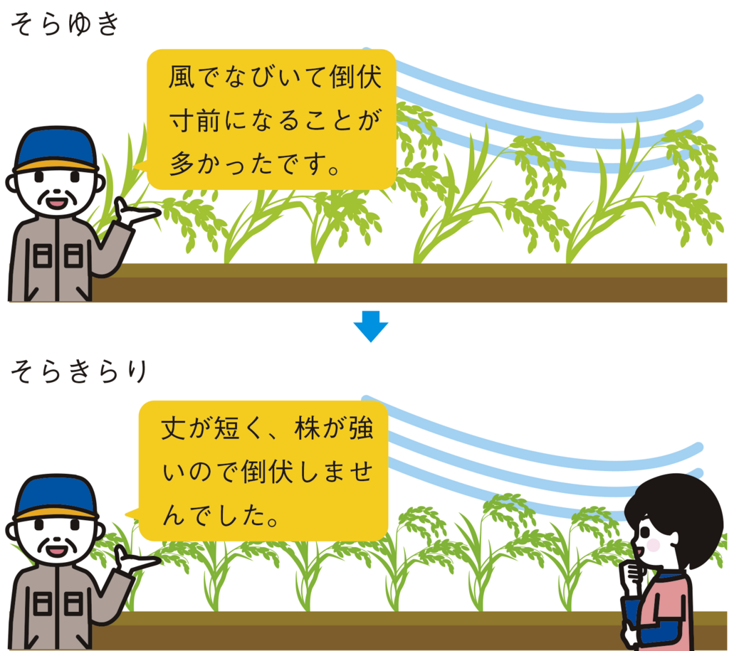 由仁町賀集達矢さん図1