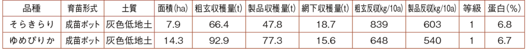 奈井江町杉本雄馬さん表