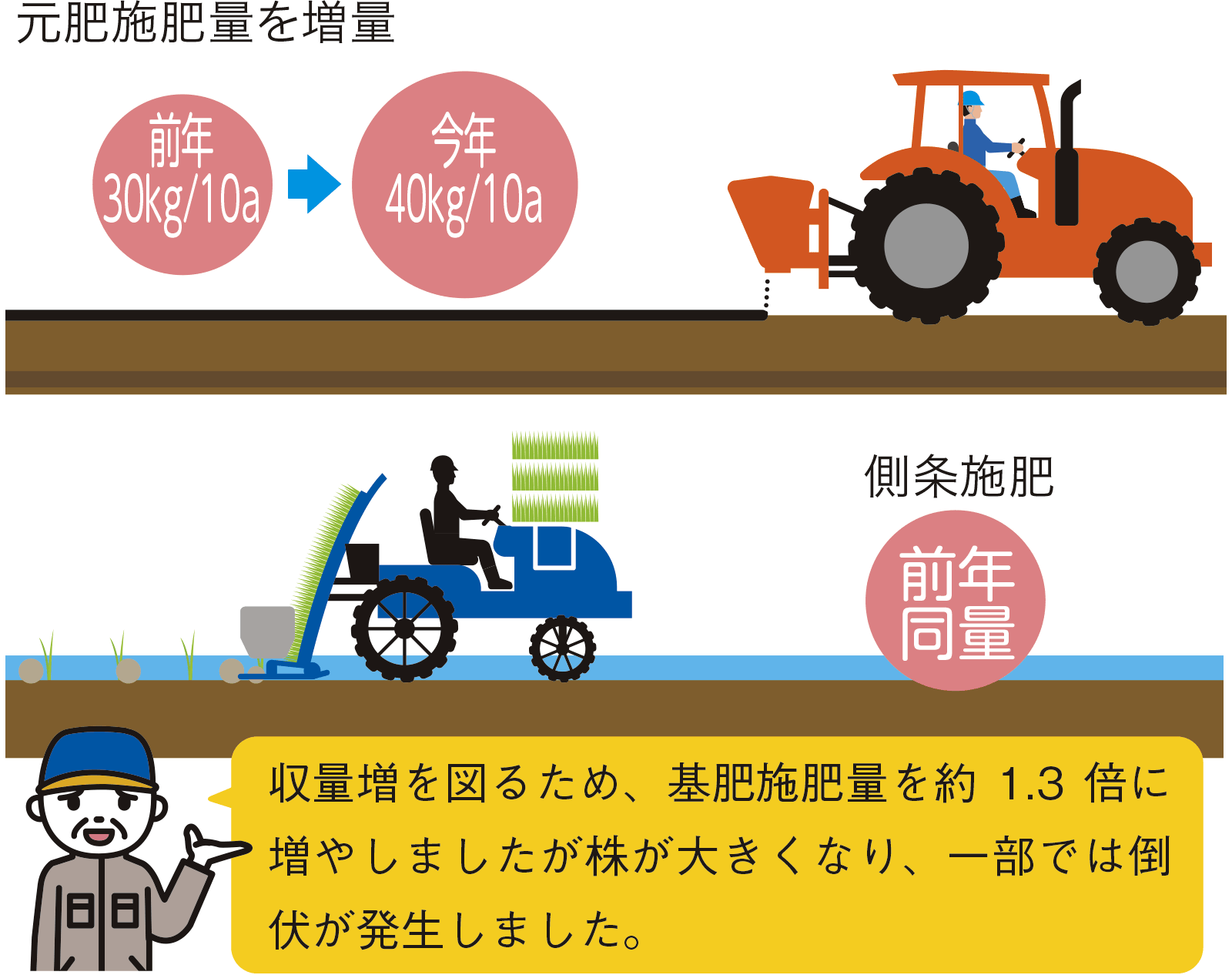 昨年の経験を踏まえ、今年の栽培状況はどうでしたか？ - アグリポートWeb