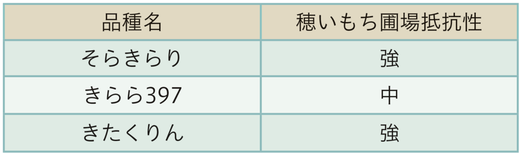 穂いもち圃場抵抗性