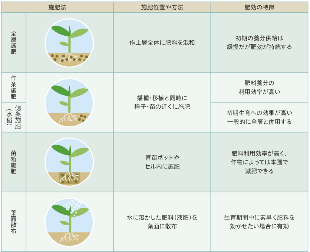 表1施肥位置の例