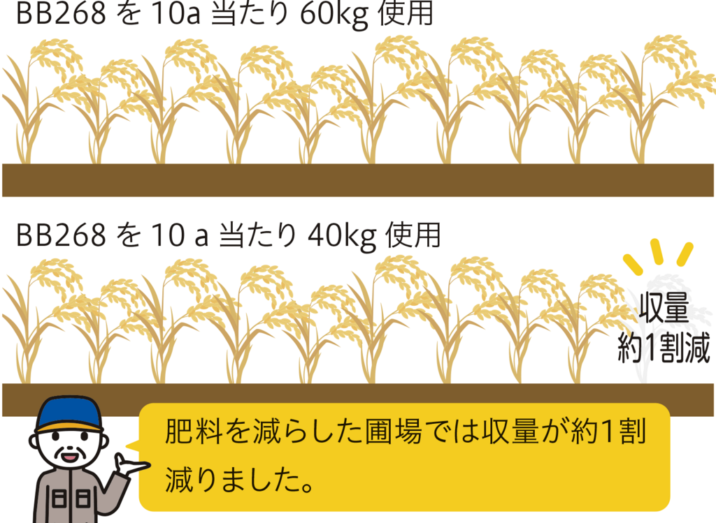 そらきらりの施肥図