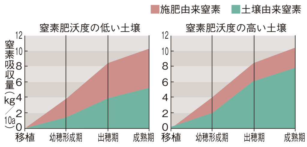 図5水稲の窒素吸収経過と吸収窒素の由来内訳