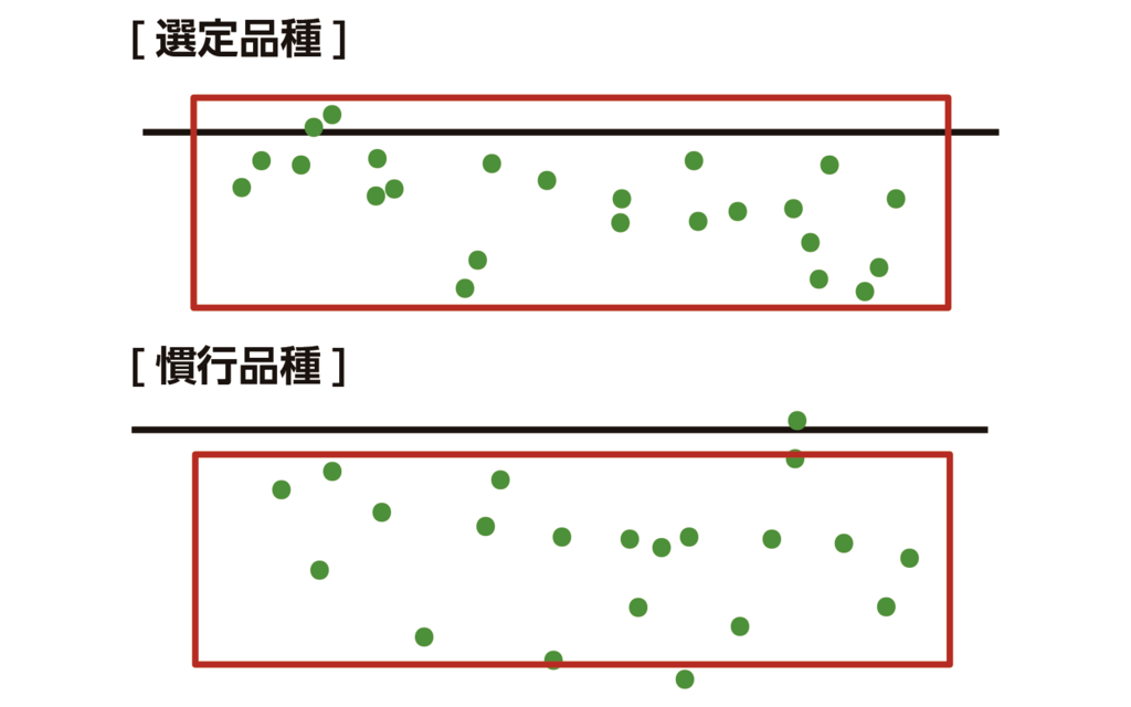 図22023年度試験品種の着果位置の例(10株分)