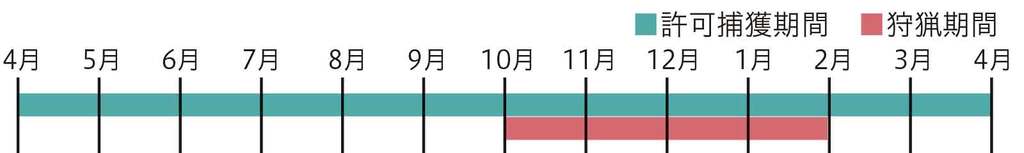 図1許可捕獲が可能な期間と狩猟期間