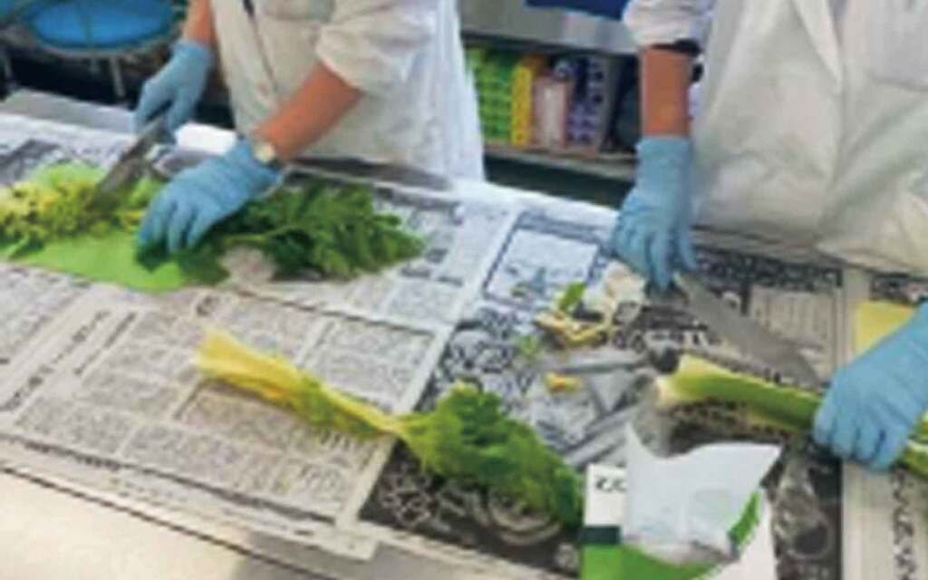 写真2手袋など試料に直接触れるものは試料ごとに替える
