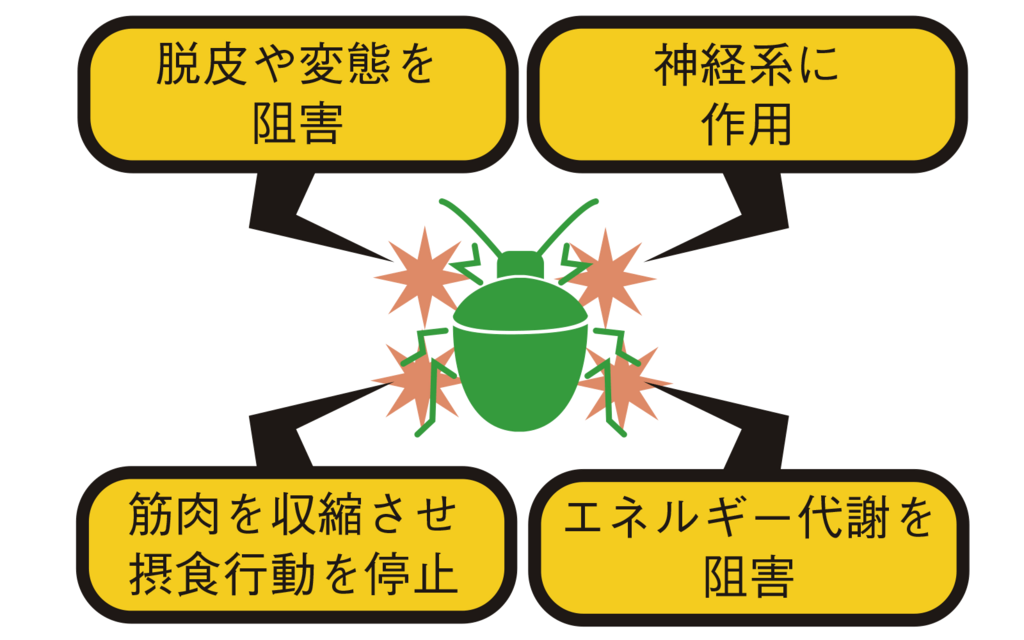 図1殺虫剤の作用機構の系統例