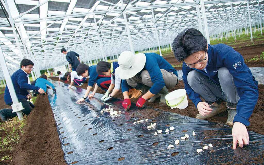 都市から農村へ新しい人の流れをつくるのののの-取り組み
