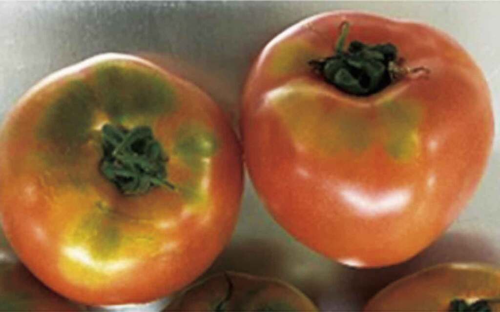 着色不良とは
