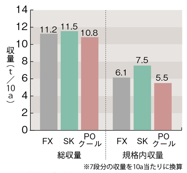 図3. 収量
