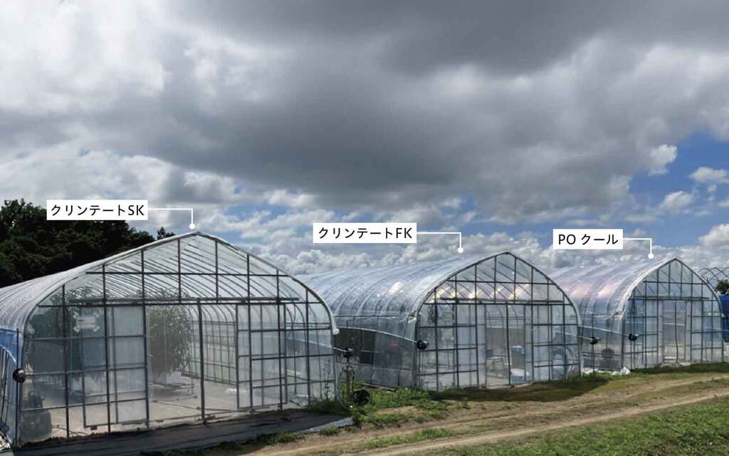 写真1_試験ハウス