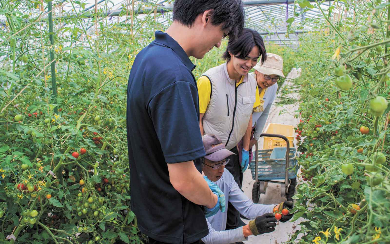 営農を支える学生のチカラ - アグリポートWeb