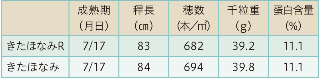 表1.縞萎縮病未発生圃場における特性