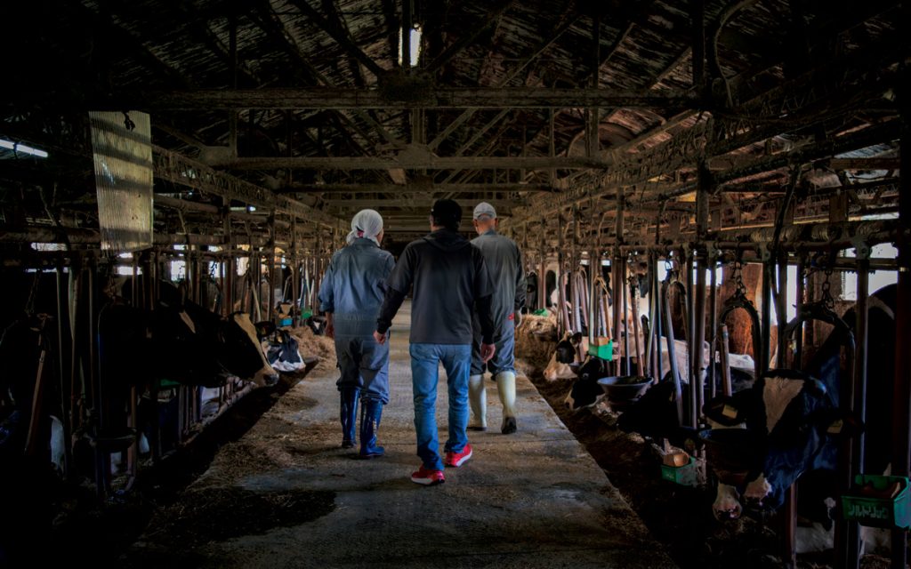 牛舎を歩く三人