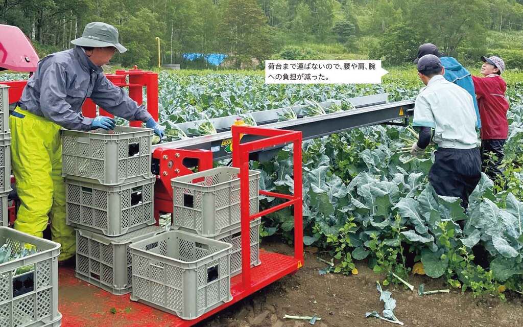 写真1試作したコンベヤキャリアによるブロッコリーの収穫