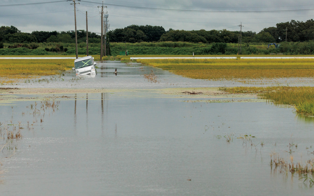 農業保険で持続可能な農業経営を