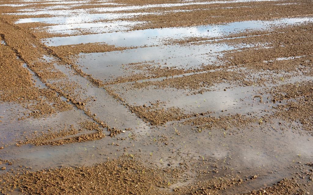 排水不良を解消するために
