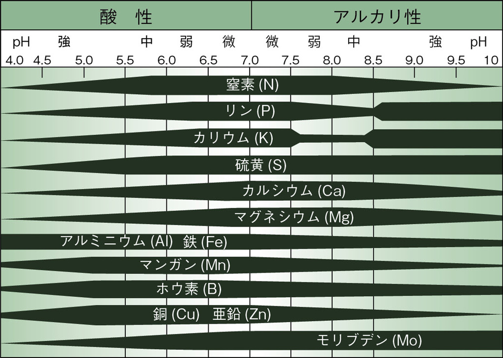 図2.pHによる各養分または有害物質の溶解度の違い（関東土壌専技会、1996年）