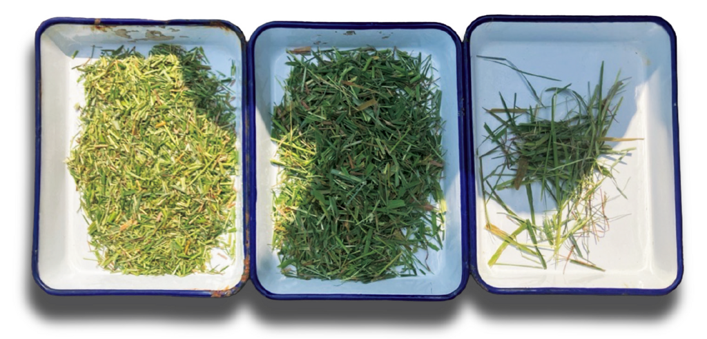 パーティクルセパレーターで短すぎるものや長すぎるものが無いかを確認