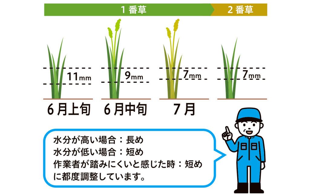 切断長や水分条件について