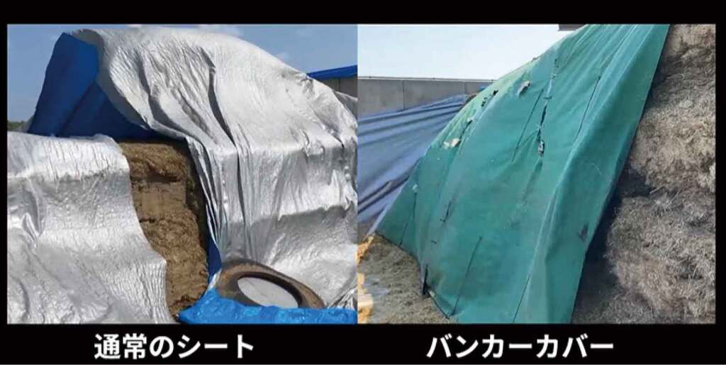 強風下での違い